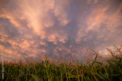 Orange Cloud Sunset