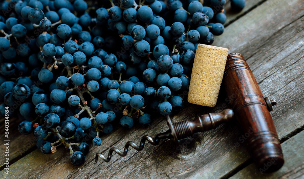 Vintage corkscrew with ripe grapes lay on a rustic wood table. Concept of autumn, vineyards, winemaking - obrazy, fototapety, plakaty 