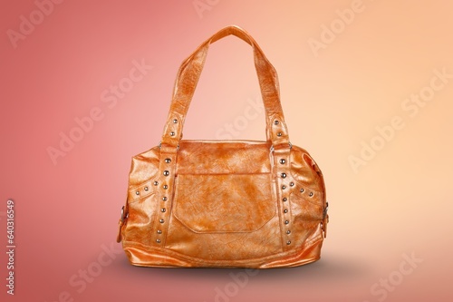 Modern trendy women's hand bag