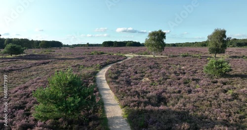 Aerial drone view of The Gooi Nature Reserve is a nature reserve in the Gooi . photo