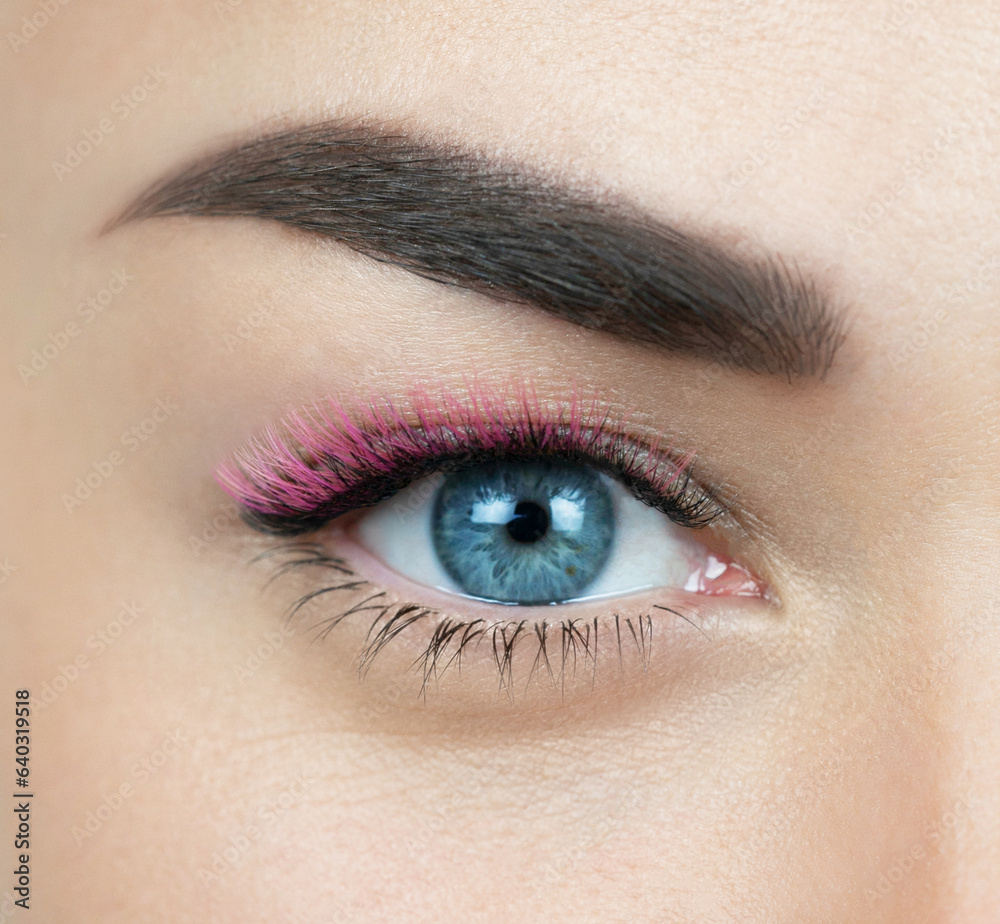 Obraz premium Macro shot of female blue eye with 2d 3d 4d volume long false lashes. Young woman with perfect eyes and beautiful black and pink colored eyelash extensions. Closeup beauty photo of lash extension 