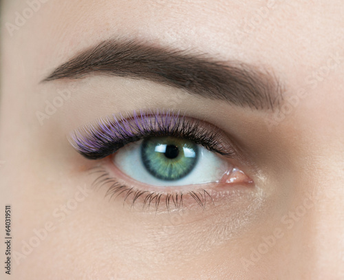 Macro shot of female green eye with 2d 3d 4d volume long false lashes. Young woman with perfect eyes and beautiful black and ourple colored eyelash extensions. Closeup beauty photo of lash extension 