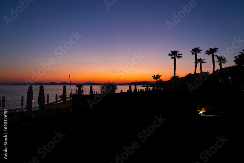 Athens  beach at dusk with silhouette of palm trees and purple-orange background