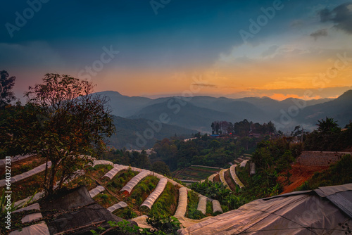 stairs, natural plantation Early morning and dusk in winter in northern Thailand.
There was a yellow light in the sky and a thin mist with a small road passing through the provinces.