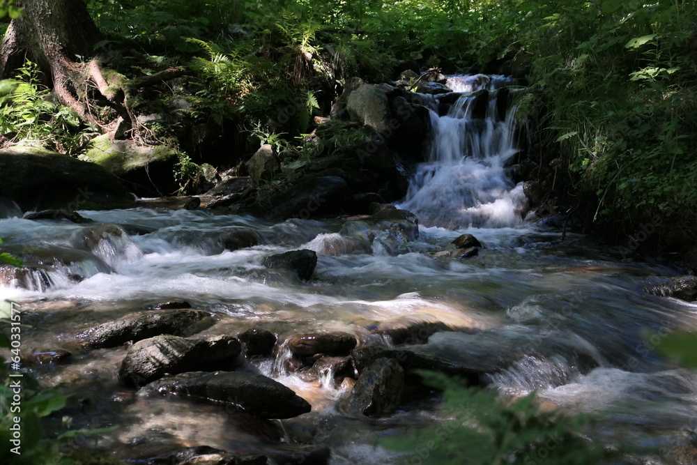 Wildbach, Wanderweg entlang dem wilden Wasser Wildbach, Wanderweg entlang dem wilden Wasser