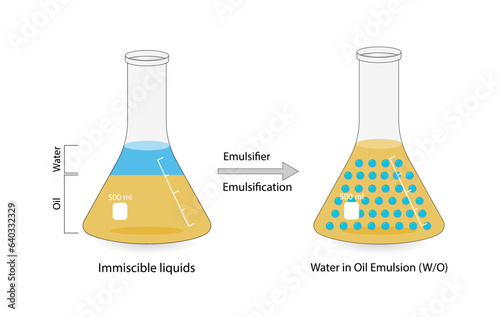 Emulsion, a mixture of two immiscible liquids (oil and water) in flasks, Emulsion water in oil, Immiscible liquids. Emulsification, emulsifier. isolated on white background. Vector illustration.