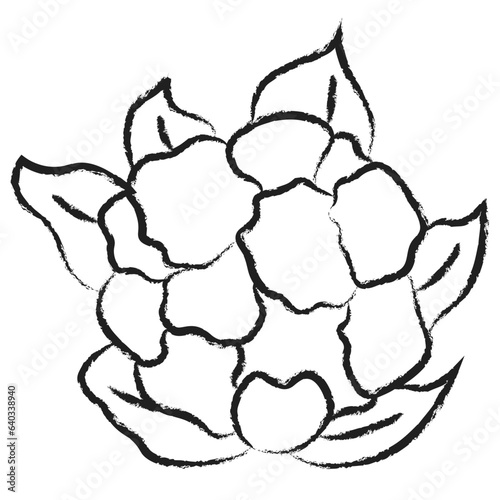 Hand drawn Cauliflower icon