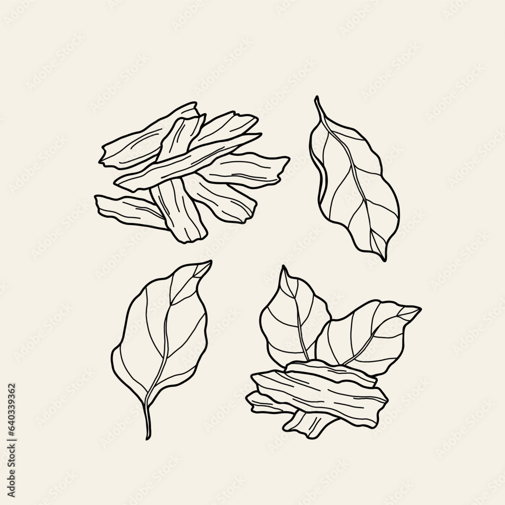 Line art agarwood vector collection