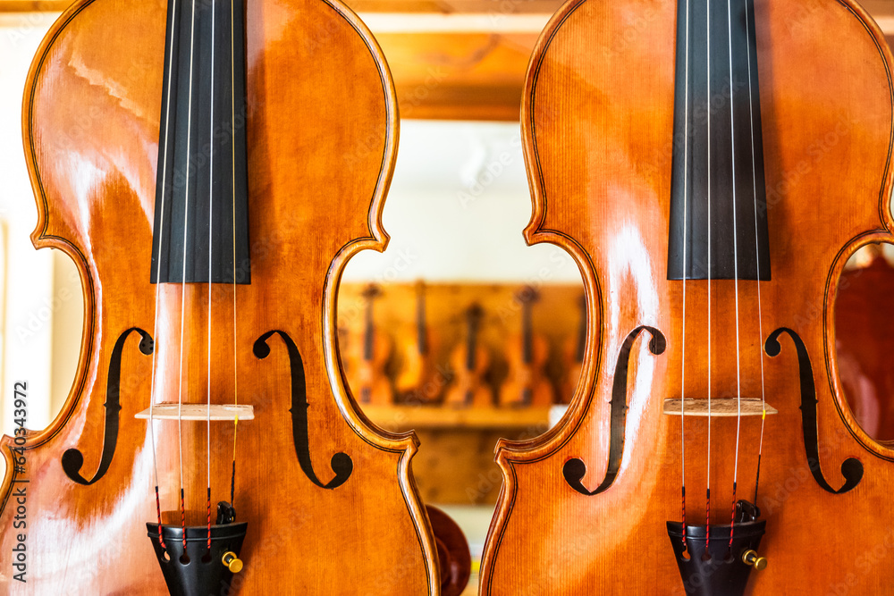 Fototapeta premium typical violin music instrument