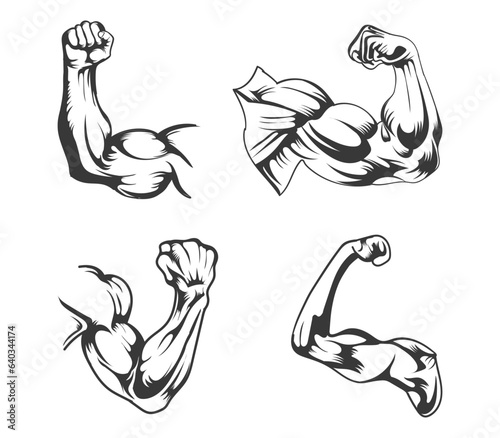 
Muscle Arms fitness gym vector design