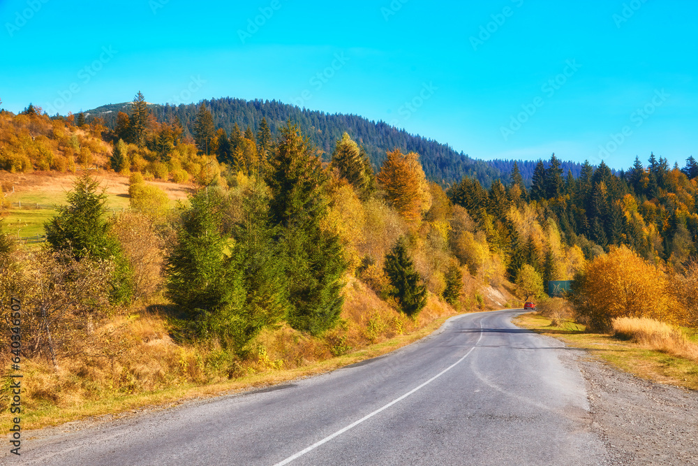 Fototapeta premium Serene Mountain Road Amidst Autumn Forest