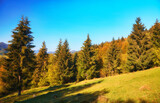 Enchanting Autumn Splendor: Majestic Carpathian Peaks Amidst a Colorful Tapestry