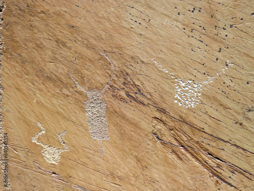 Bronze Age Rock Engravings Carvings or Petroglyphs of Bulls in the Vallée des Merveilles (Valley of marble) and Vallon de Fontanalba, Mercantour National Park, France, Europe. Anthropomorphic figures photo