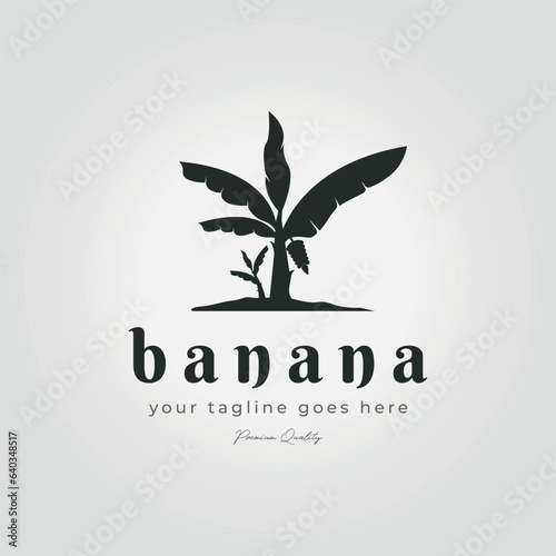 vector illustration minimalistic vintage banana tree logo icon design