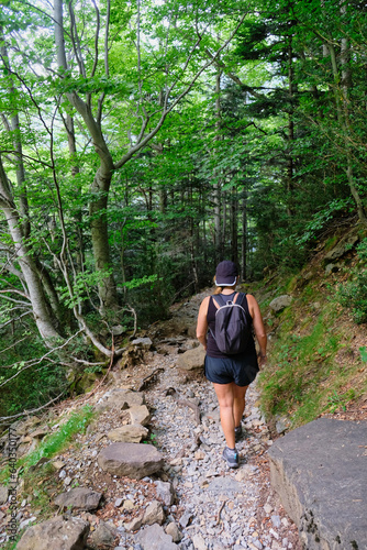 Woman trekking in the forest