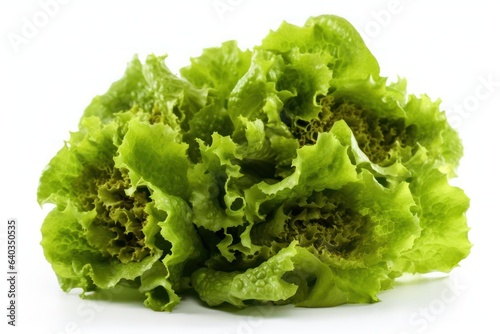 green lettuce isolated on white