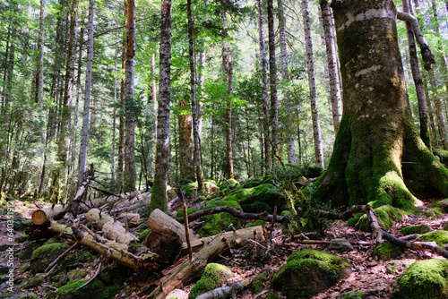 Ordesa and Monte Perdido National Park