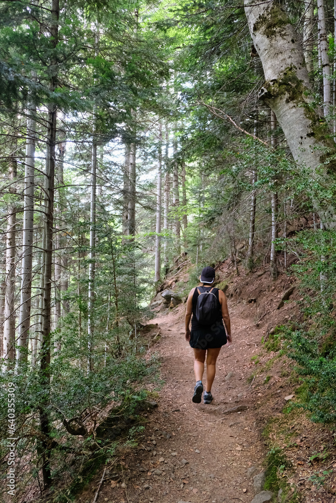 Woman trekking in the forest