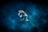 czaszka z dymem na czarnym tle do projektu lub horroru