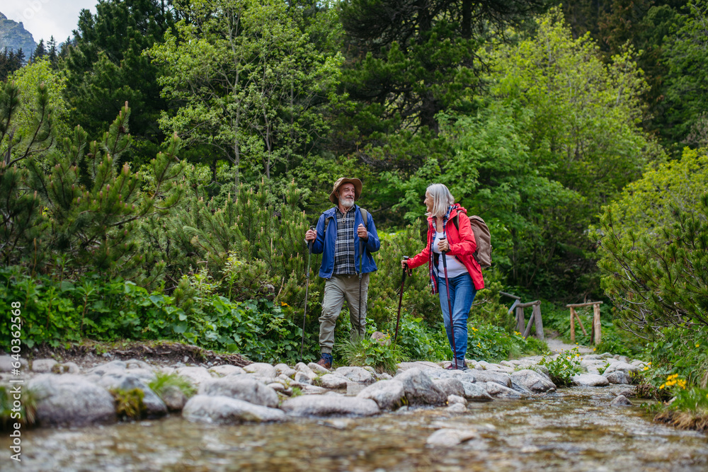 Obraz premium Active senior couple hiking together in autumn mountains.