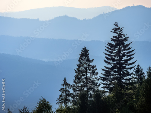 Fototapeta Naklejka Na Ścianę i Meble -  A view from Hala Boracza to Beskid Zywiecki Mountains Poland