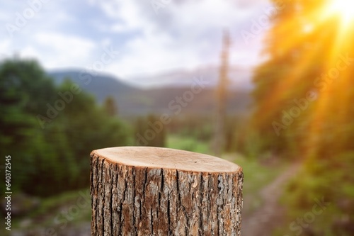 Tree wood Podium in nature background