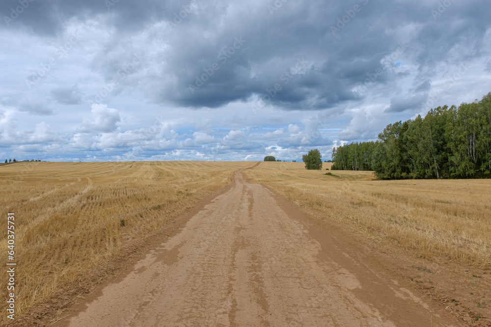 The road goes to the horizon through the field 