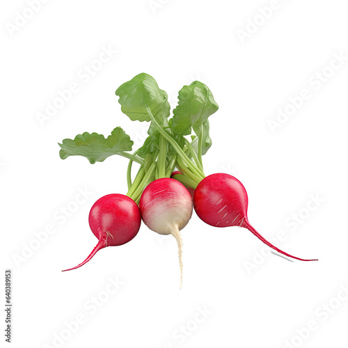 Radish on transparent background