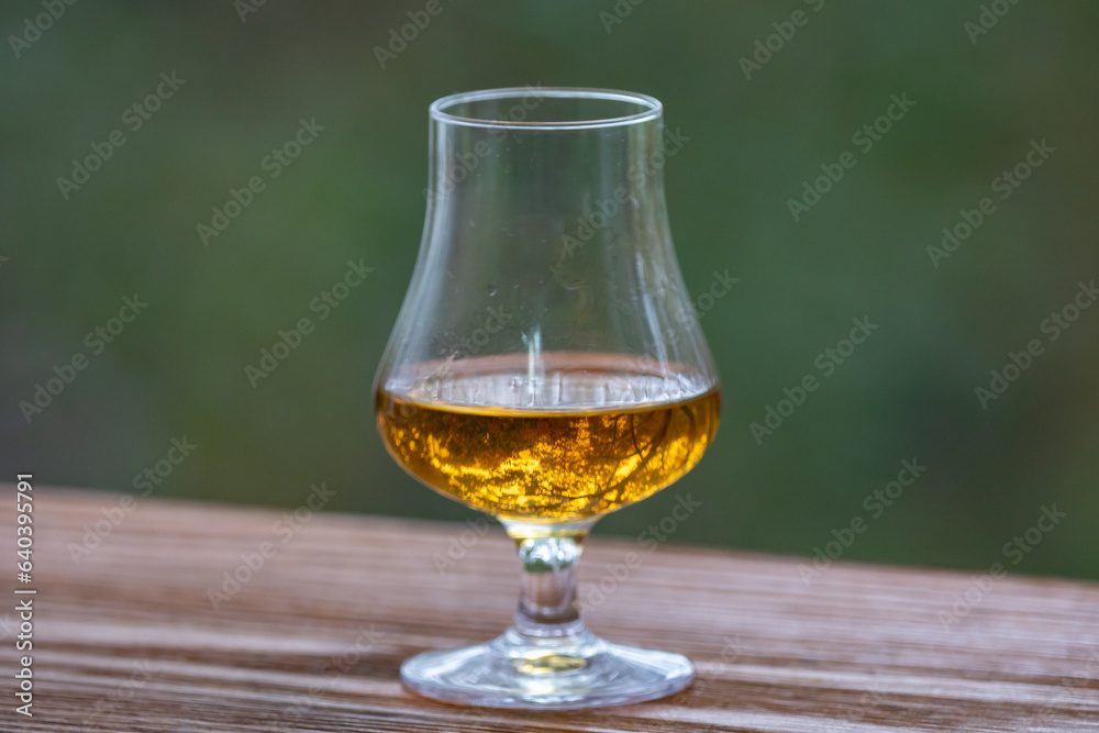 Single malt scotch whisky in selective focus and minimalistic photo. Space for text Single malt scotch whisky in selective focus and minimalistic photo. Space for text