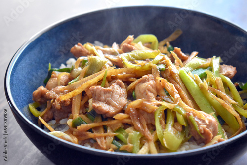 Stir fried pork with ginger, garlic, onion and chillies in a bowl with boiled rice.