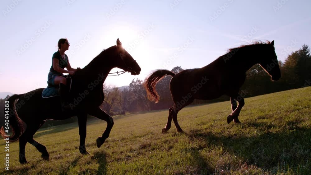 SLOW MOTION, LENS FLARE: Woman rides a horse up a hill on nice sunny autumn day. She is trotting on her brown horse along a beautiful countryside meadow by the forest in a company of another horse. SLOW MOTION, LENS FLARE: Woman rides a horse up a hill on nice sunny autumn day. She is trotting on her brown horse along a beautiful countryside meadow by the forest in a company of another horse.