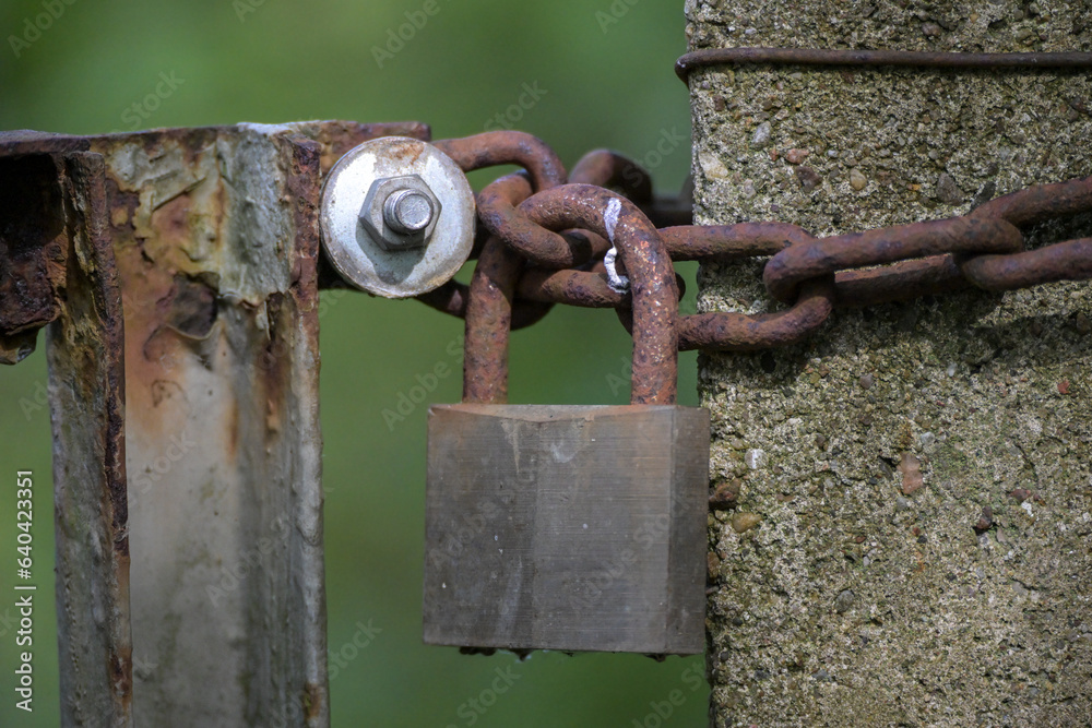 Weathered metal garden gate, closed with a rusty chain and an old padlock against a green background, copy space, selected focus Weathered metal garden gate, closed with a rusty chain and an old padlock against a green background, copy space, selected focus