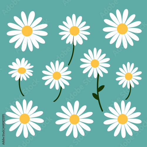A Various White Daises Cartoon Illustration Set with a Seamless Pattern of White Camomiles: Part of the Spring Set Collection Featuring Hand-Drawn Elements.

