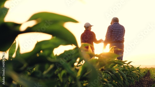 two farmers work tablet sun, farming, teamwork group people, contract handshake agreement sunset corn wheat, contract technician day work handshake information agronomists use successful dialogue photo