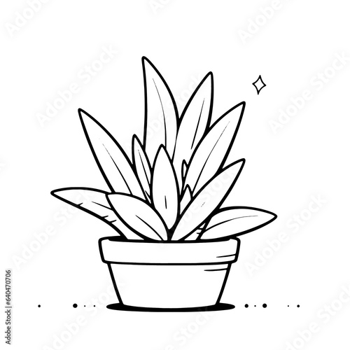 Potted Plant