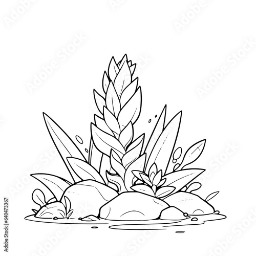 Water Plants