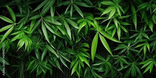 illustration of tropical leaves, bamboo, generative AI © VALUEINVESTOR