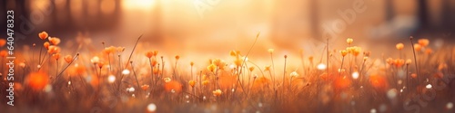 Banner with beautiful meadow with wild flowers over sunset sky. Beauty nature field background with sun flare. Bokeh  silhouettes of wild grass and flower. Beautiful summer or autumn nature backdrop