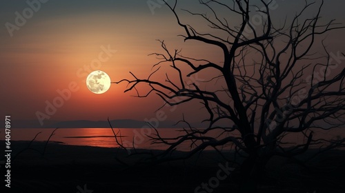 moon and tree