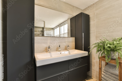 Photography a modern bathroom with black cabinets and white counter tops, along with a plant
