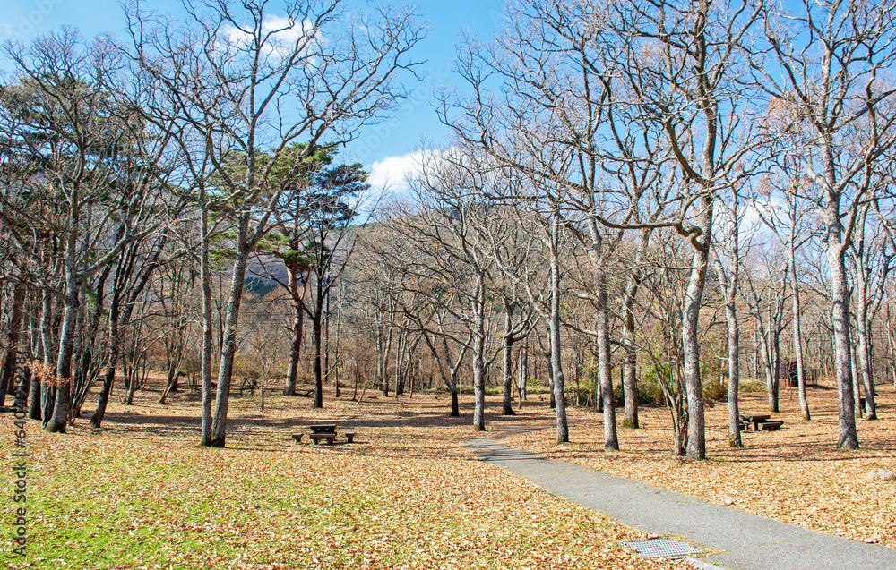 Fototapeta premium 阿蘇くじゅう国立公園の秋｜心静かにカルデラ湖の外輪山を眺めることが出来ました 
