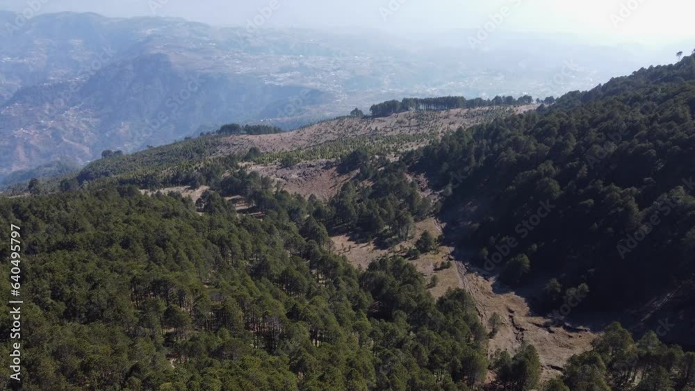 Hazy sky aerial flyover: New trees grow on volcanic mountain plateau
