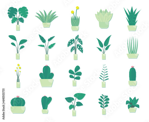 set of beautiful plants