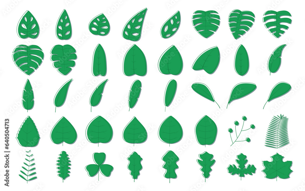 set of green leaves with outline