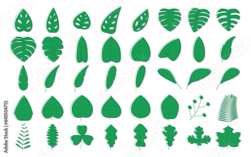 set of green leaves with outline