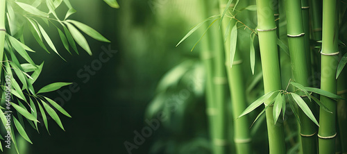Background with bamboo trunks  copy space