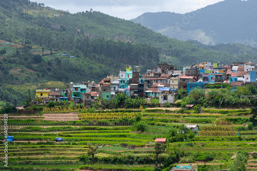 Beautiful Agriculture Farm Field View in Vattavada in Munnar,Idukki District, Kerala, India