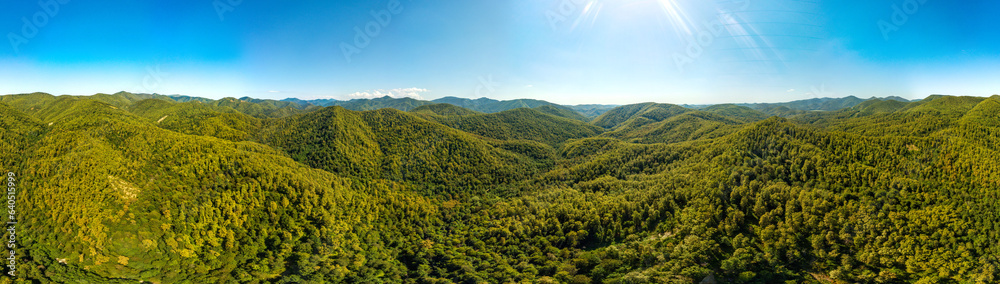 Obraz premium wide aerial panorama overlooking the mountain gorges in the forested mountains of the western caucasus (southern Russia) on a sunny summer day