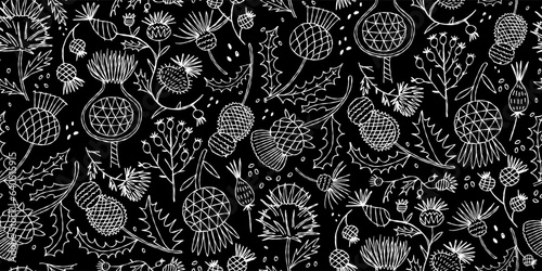Milk Thistle flowers. Silymarin. Vector botanical illustration. Seamless pattern for your design