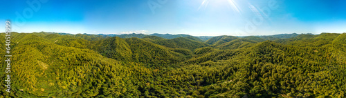 Fototapeta Naklejka Na Ścianę i Meble -  wide aerial panorama overlooking the mountain gorges in the forested mountains of the western caucasus (southern Russia) on a sunny summer day